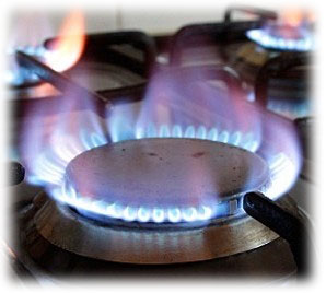 Zemní plyn je vvborným řešením pro vytápění objektů, ohřev vody a přípravu jídel